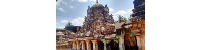 100. திருத்துருத்தி